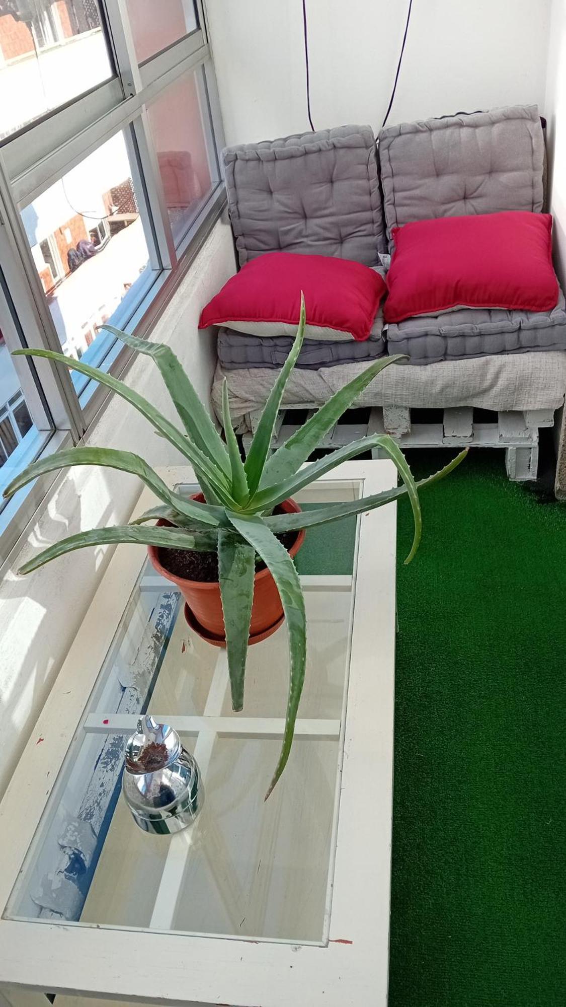 אורנסה A Parada Da Ribeira מראה חיצוני תמונה